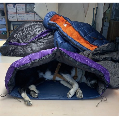 Dog Bivy v.2